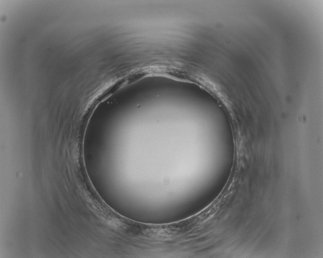 X0000076450297200610161318