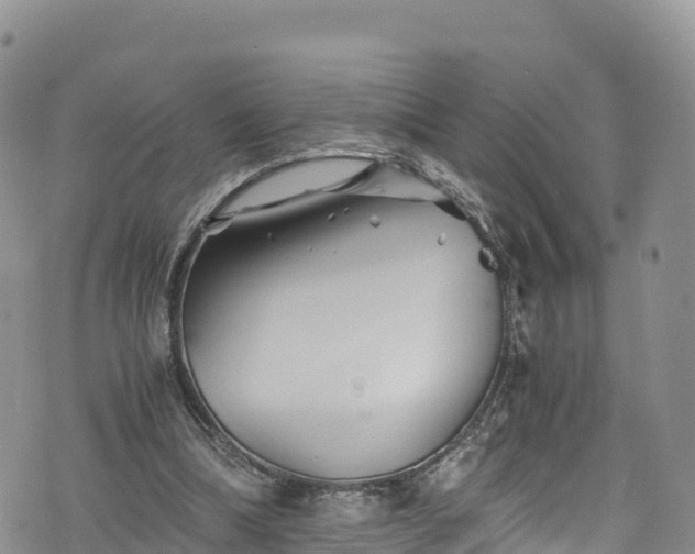 X0000076450298200610161318