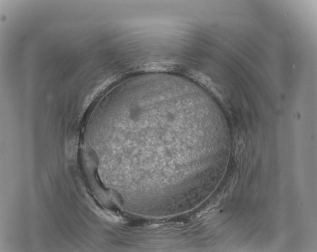 X0000076450299200610161318