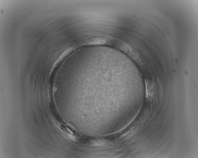 X0000076450300200610161318