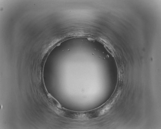 X0000076450301200610161318