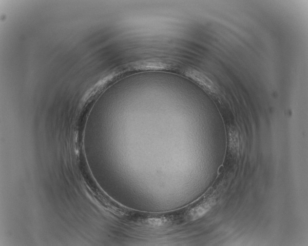 X0000076450302200610161318