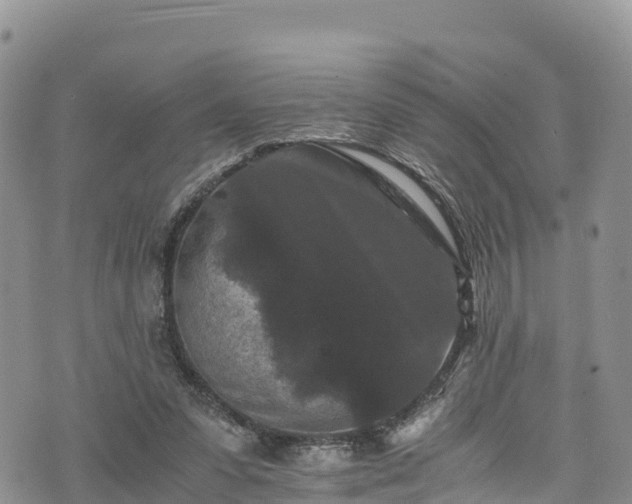 X0000076450303200610161318