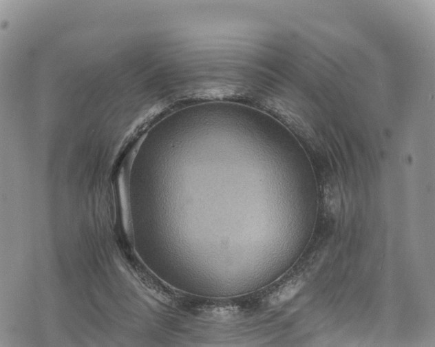 X0000076450304200610161318