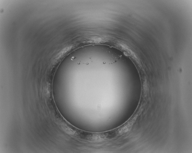 X0000076450305200610161318