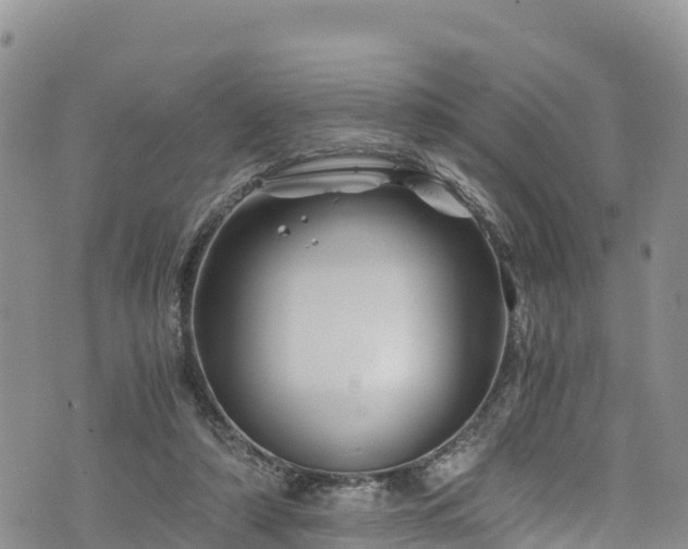 X0000076450306200610161318