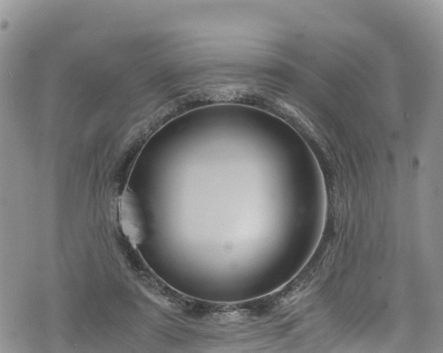 X0000076450307200610161318