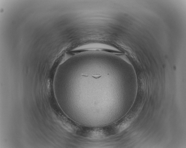 X0000076450308200610161318