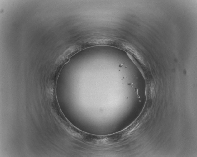 X0000076450309200610161318