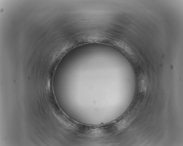 X0000076450310200610161318