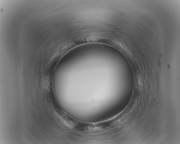 X0000076450311200610161318