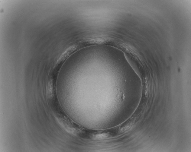 X0000076450312200610161318