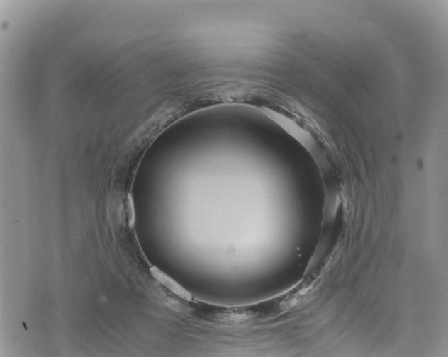 X0000076450313200610161318