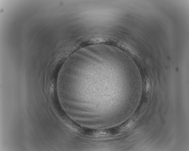 X0000076450315200610161318