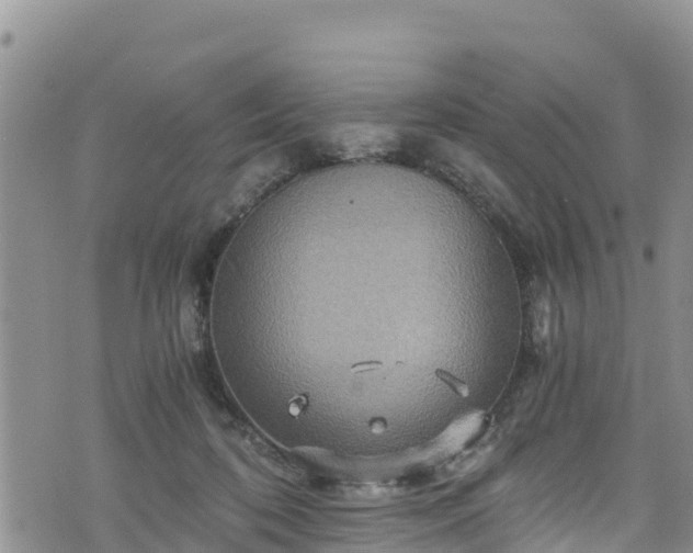 X0000076450316200610161318