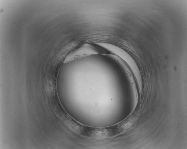 X0000076450317200610161318