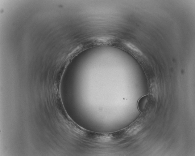 X0000076450318200610161318