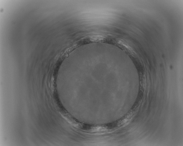 X0000076450319200610161318