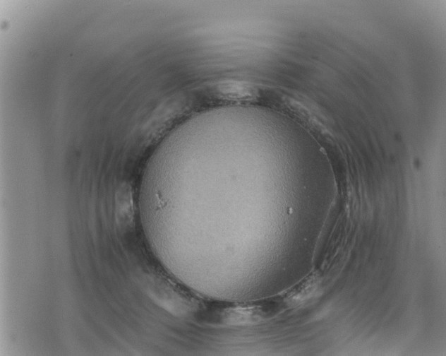 X0000076450320200610161318