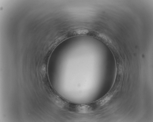 X0000076450321200610161318