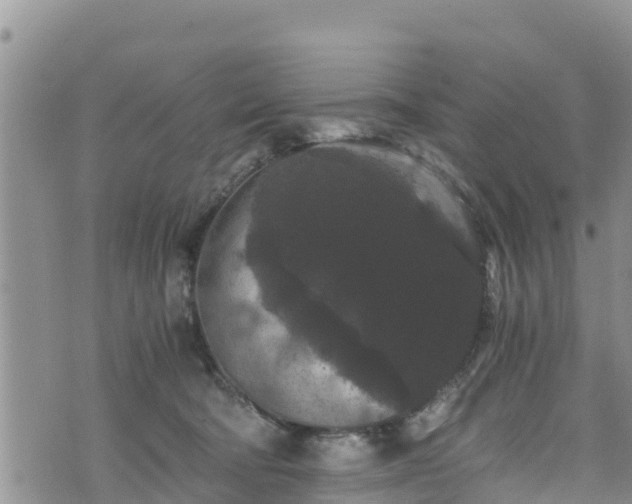 X0000076450322200610161318