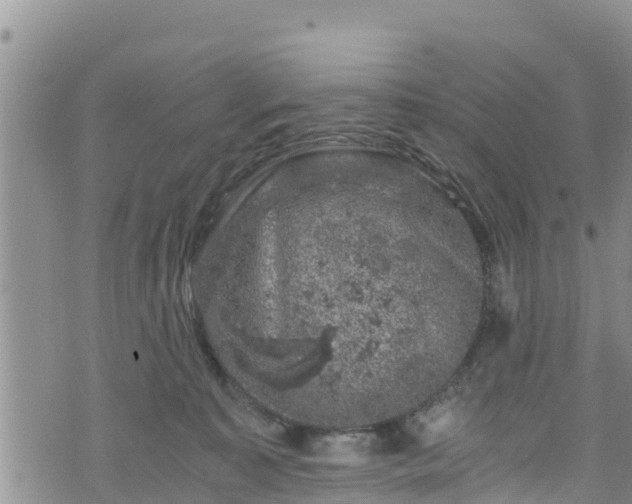 X0000076450323200610161318