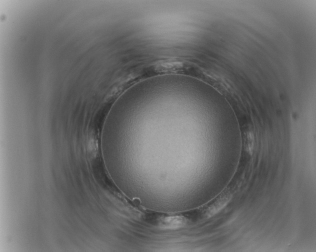 X0000076450324200610161318