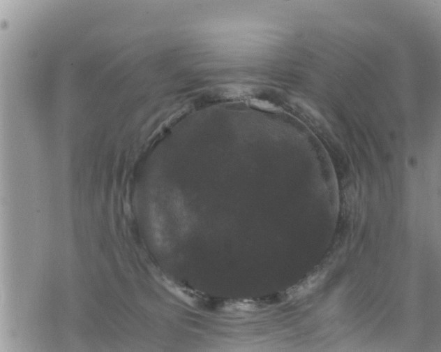 X0000076450325200610161318