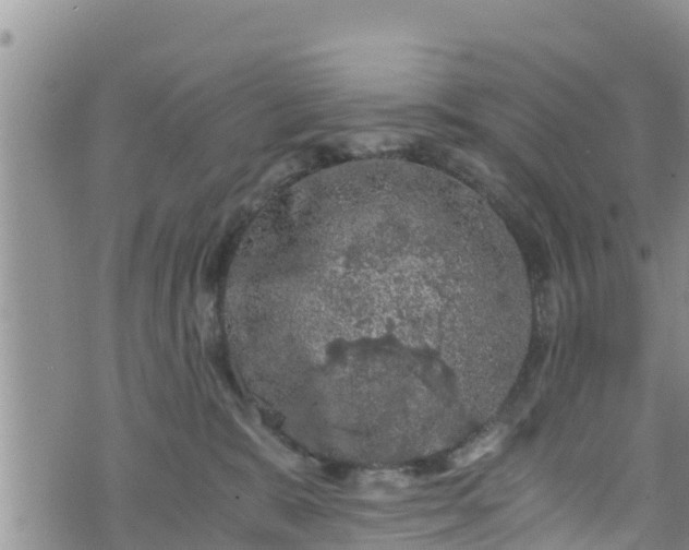 X0000076450327200610161318