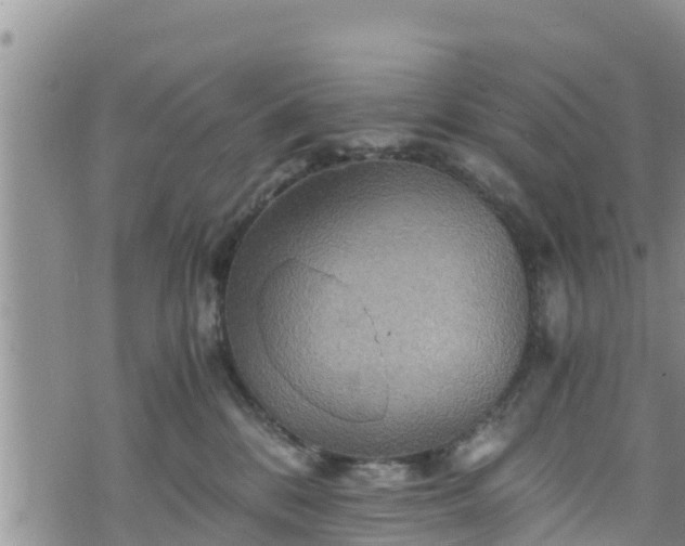 X0000076450328200610161318