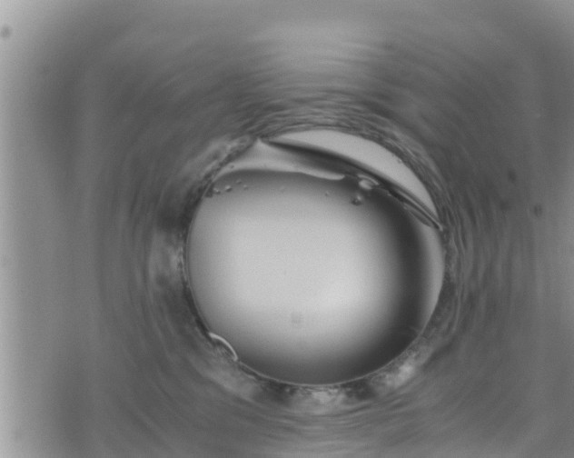 X0000076450329200610161318