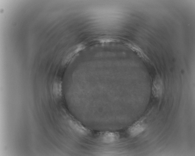 X0000076450330200610161318