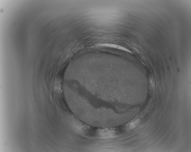 X0000076450331200610161318