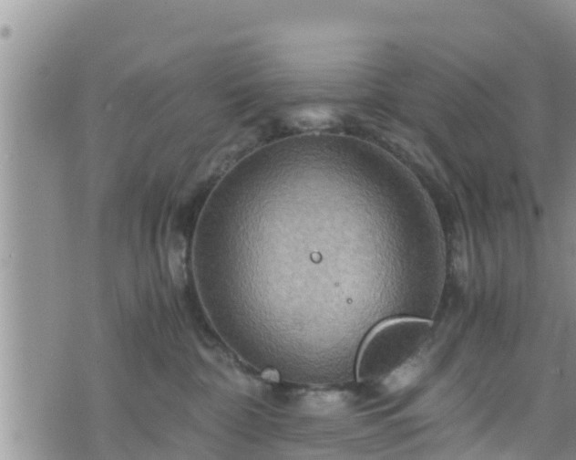 X0000076450332200610161318