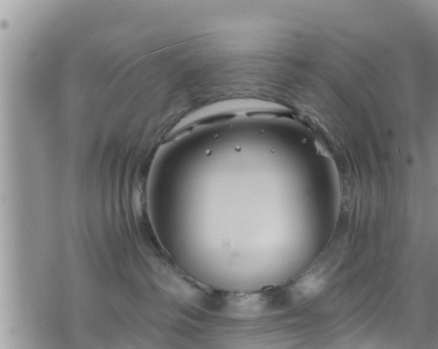 X0000076450334200610161318