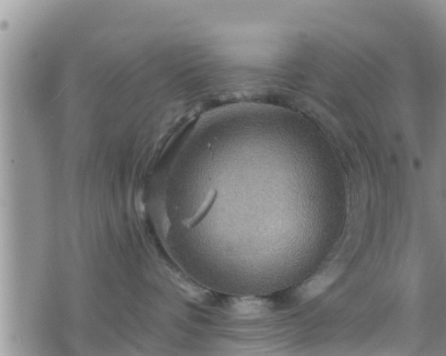 X0000076450336200610161318