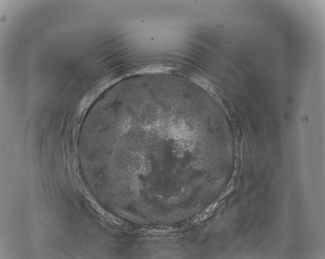 X0000076450337200610161317