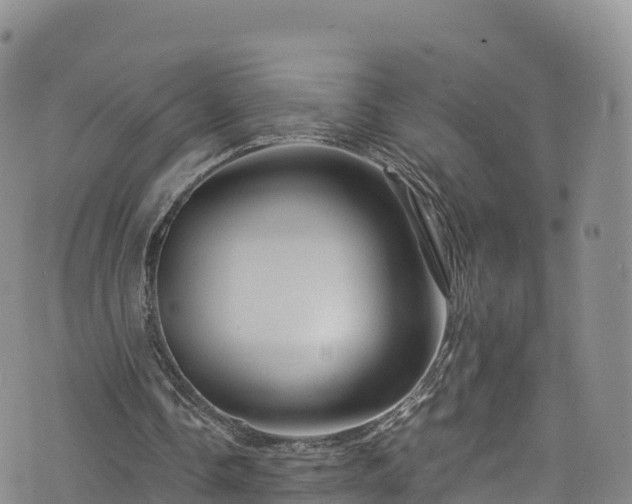 X0000076450338200610161317