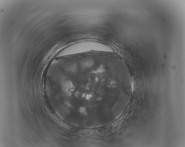 X0000076450339200610161317