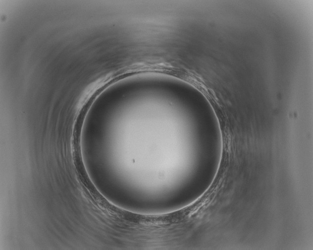 X0000076450340200610161317