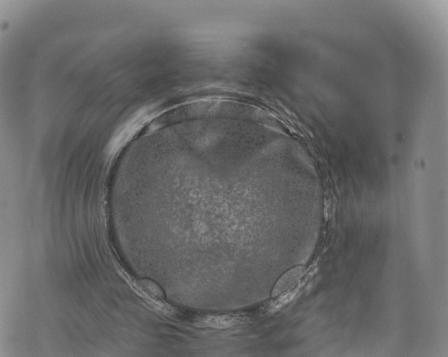 X0000076450341200610161317