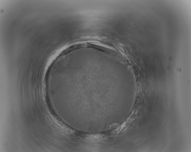 X0000076450342200610161317