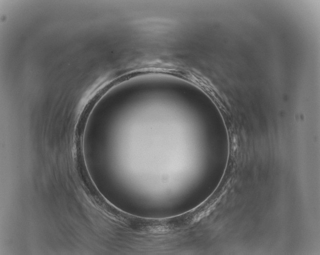 X0000076450344200610161317