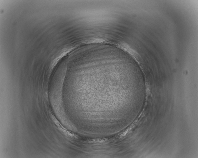 X0000076450345200610161317