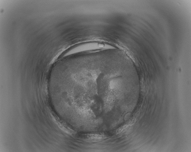 X0000076450347200610161317