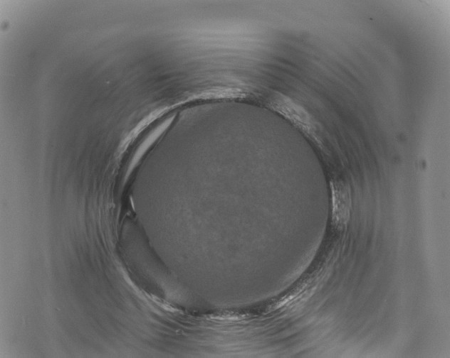 X0000076450348200610161317