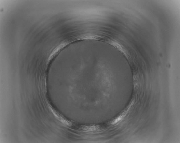 X0000076450349200610161317