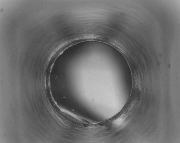 X0000076450350200610161317