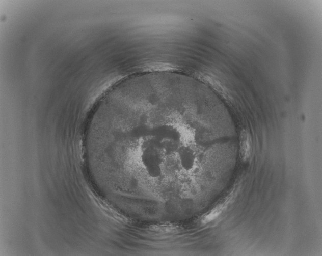 X0000076450351200610161317