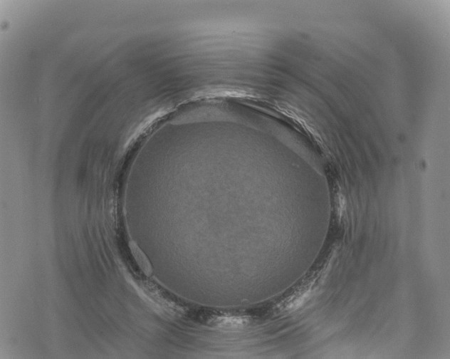 X0000076450352200610161317